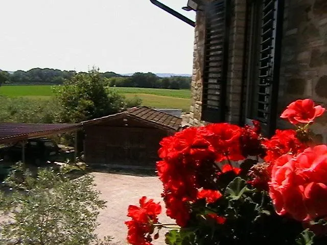 Il Casale Della Quercia Villa Assisi Farm stay
