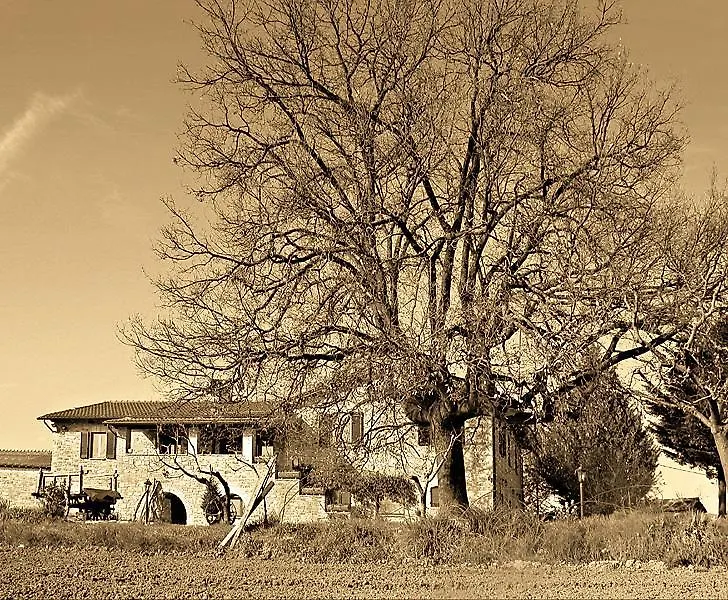 Il Casale Della Quercia Villa Assisi 0*,  Italy